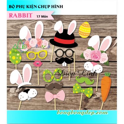 Bộ phụ kiện mặt nạ Selfie chụp hình 17 món Rabbit