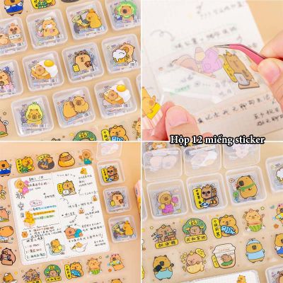 Hộp 12 miếng sticker Labubu Capybara size lớn hình dán trang trí laptop bàn học xe cho bé
