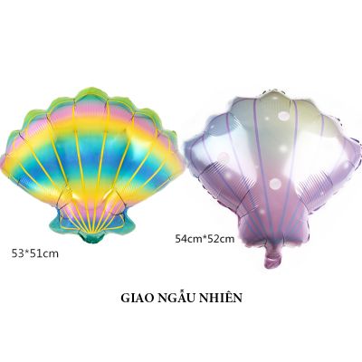 Bóng kiếng sinh vật biển vỏ sò ngọc trai